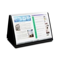 Lion Flip-N-Tell Display...