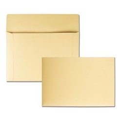 Quality Park Filing Envelopes