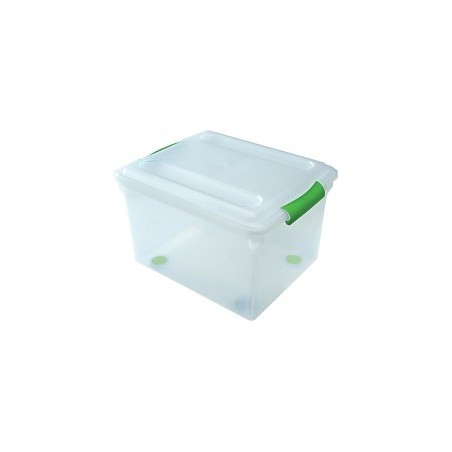 I.R.I.S File Storage Box