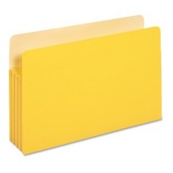 Globe-Weis Colored File Pocket