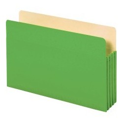 Globe-Weis Colored File Pocket